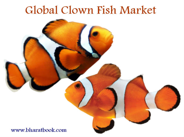 Global Clown Fish Market