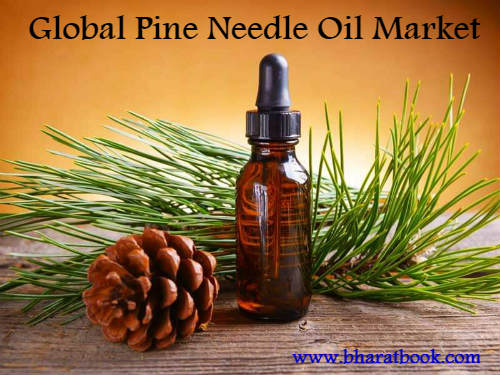 Global Pine Needle Oil Market-bharat