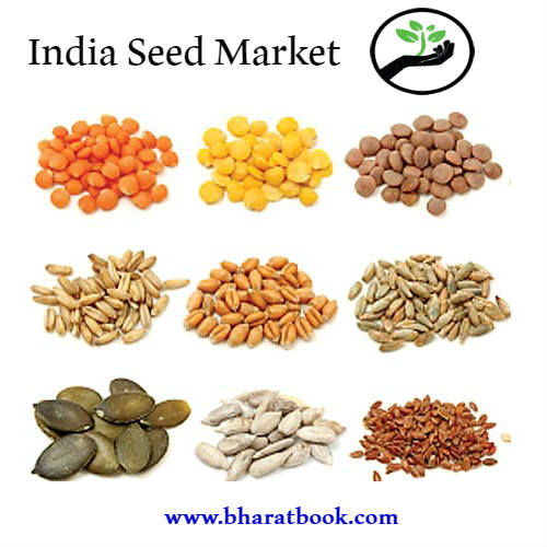 India Seed Market