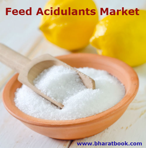 feed acidulants market