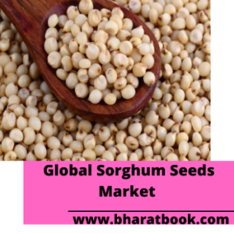 This image has an empty alt attribute; its file name is global-sorghum-seeds-market.png