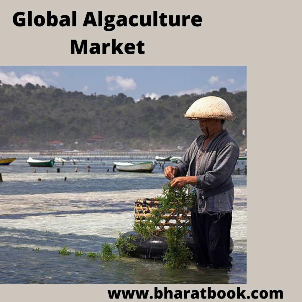 This image has an empty alt attribute; its file name is global-algaculture-market.png