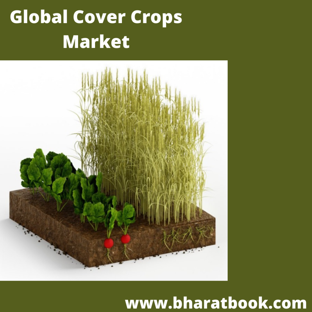 This image has an empty alt attribute; its file name is global-cover-crops-market.png