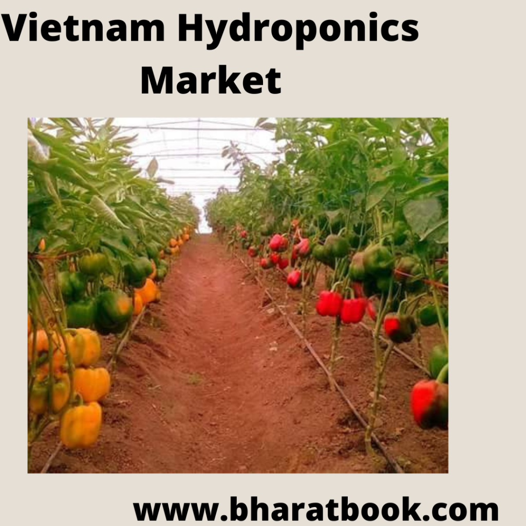 This image has an empty alt attribute; its file name is vietnam-hydroponics-market.png