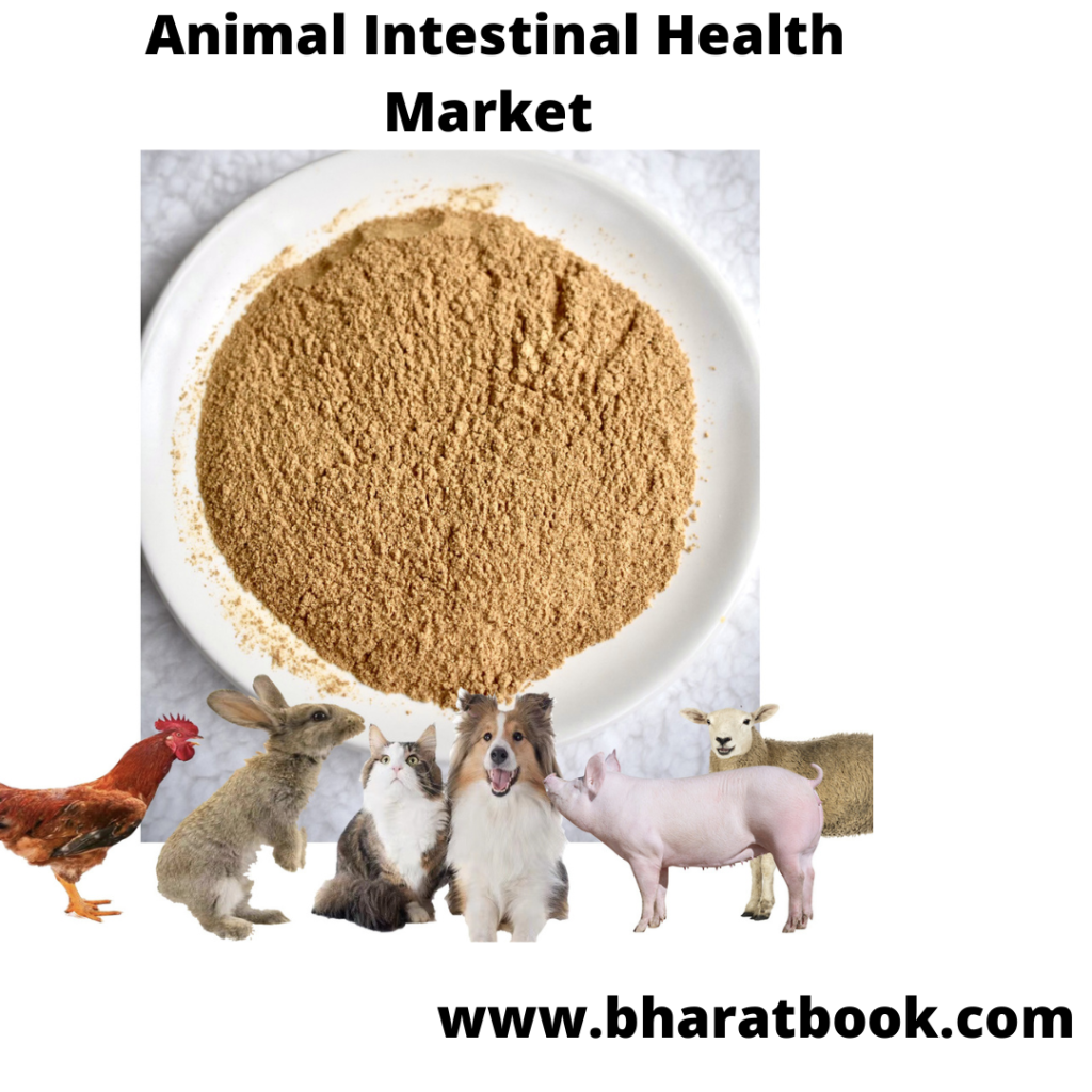 This image has an empty alt attribute; its file name is animal-intestinal-health-market.png
