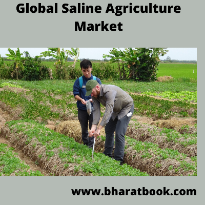 This image has an empty alt attribute; its file name is global-saline-agriculture-market.png