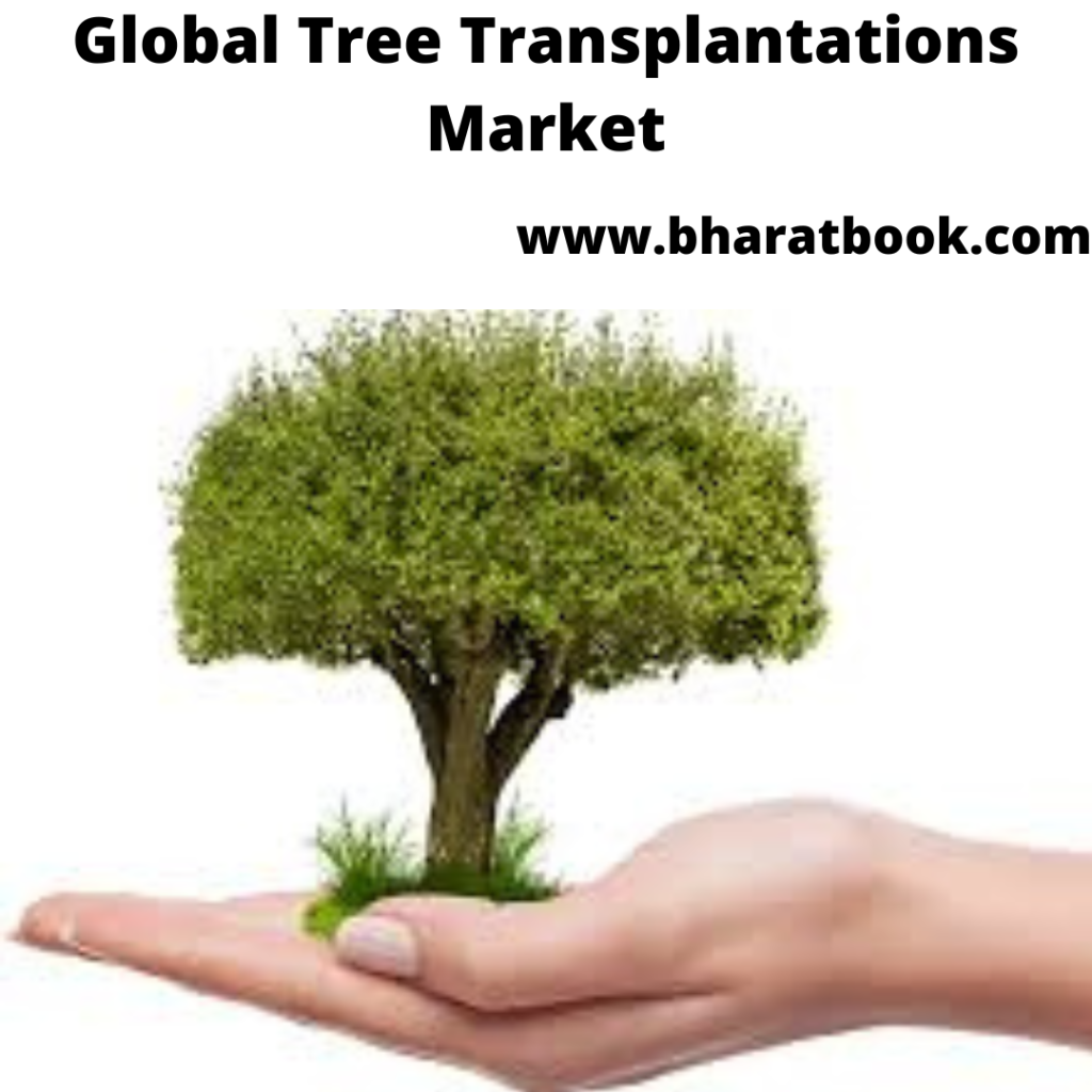 This image has an empty alt attribute; its file name is global-tree-transplantations-market.png