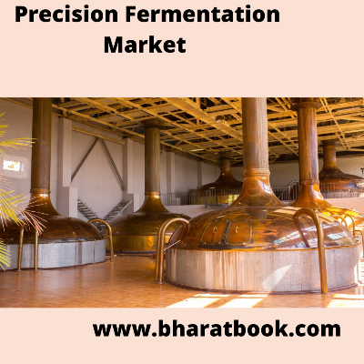 This image has an empty alt attribute; its file name is precision-fermentation-market.png